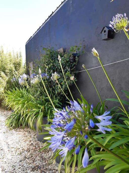 Logement 80 M2 Avec Terrasses Entre Les Deux Abers Landéda Kültér fotó